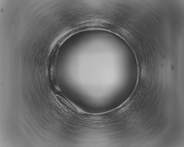 X0000053001164200507291635