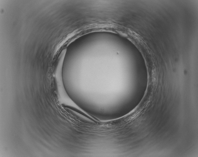 X0000053001165200507291635