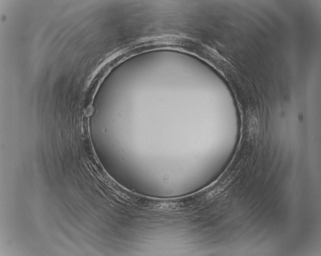 X0000053001166200507291635