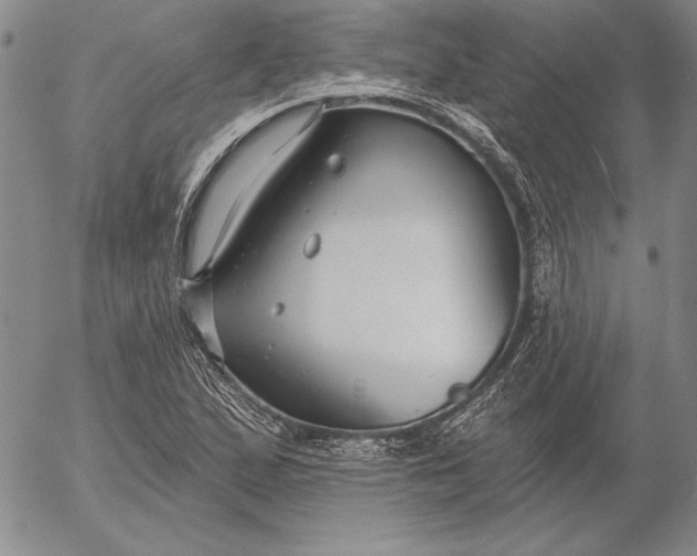 X0000053001167200507291635