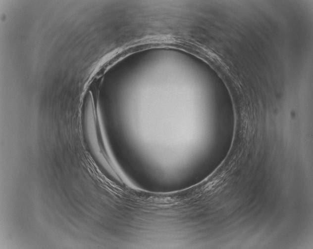 X0000053001168200507291635