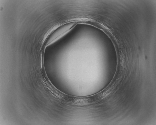 X0000053001171200507291635