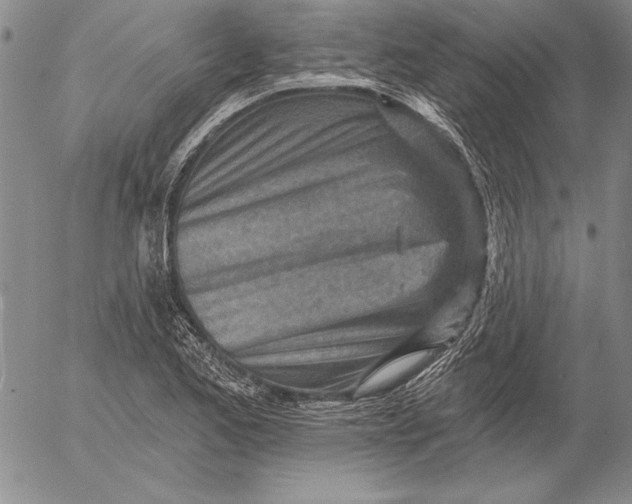 X0000053001173200507291635