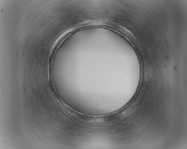 X0000053001174200507291635