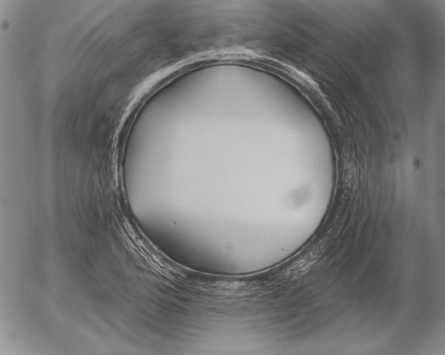 X0000053001176200507291635