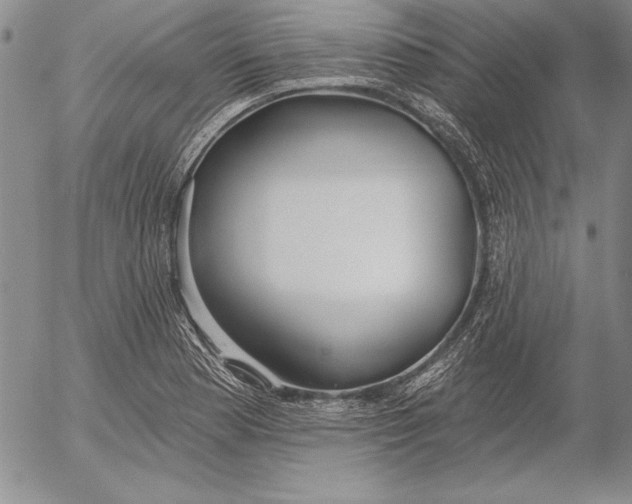 X0000053001177200507291635