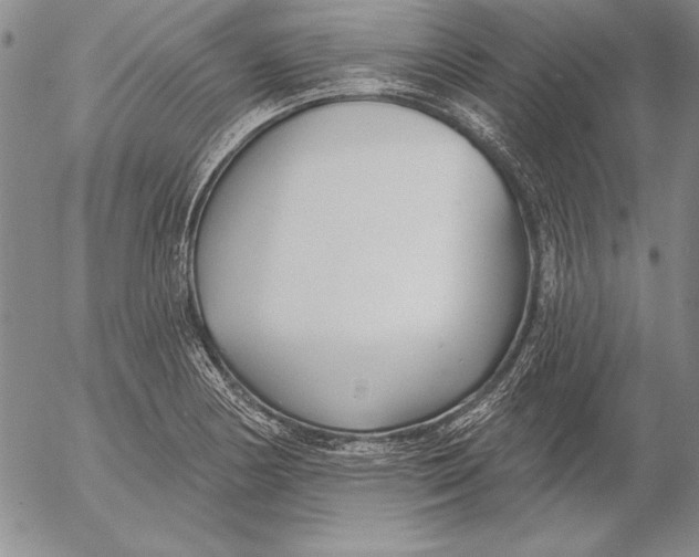 X0000053001178200507291635