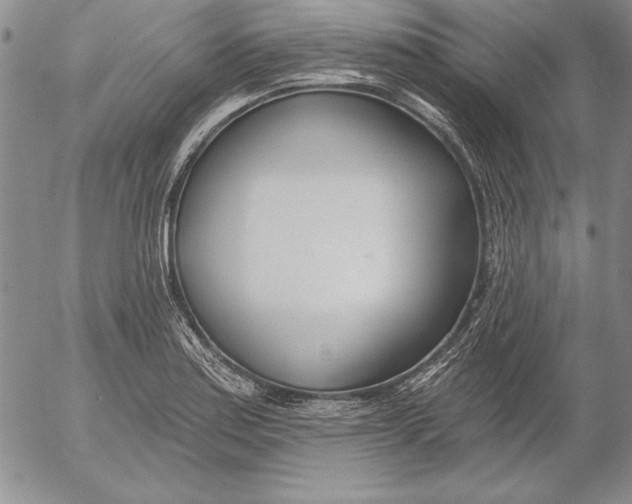 X0000053001179200507291635