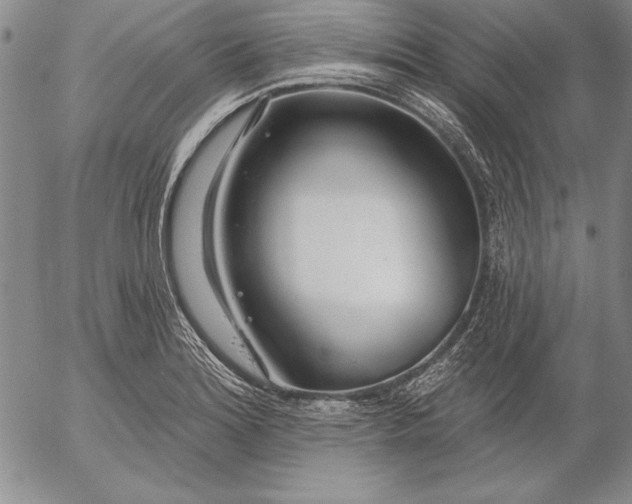 X0000053001180200507291635