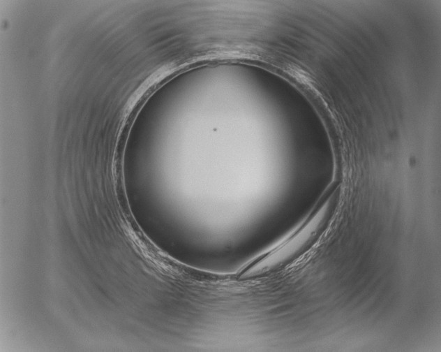 X0000053001181200507291635