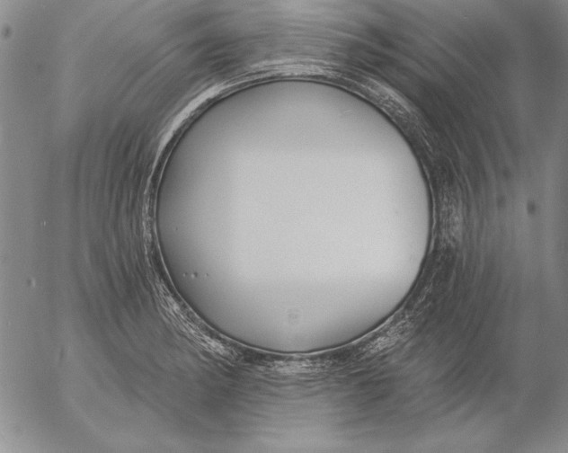 X0000053001182200507291635