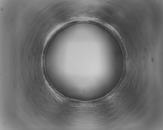 X0000053001183200507291635