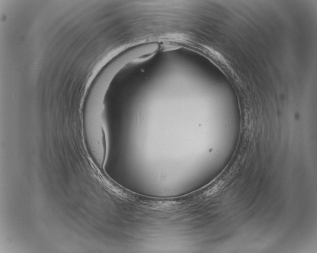 X0000053001184200507291635