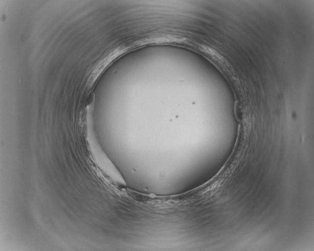 X0000053001185200507291635