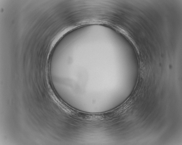 X0000053001187200507291634