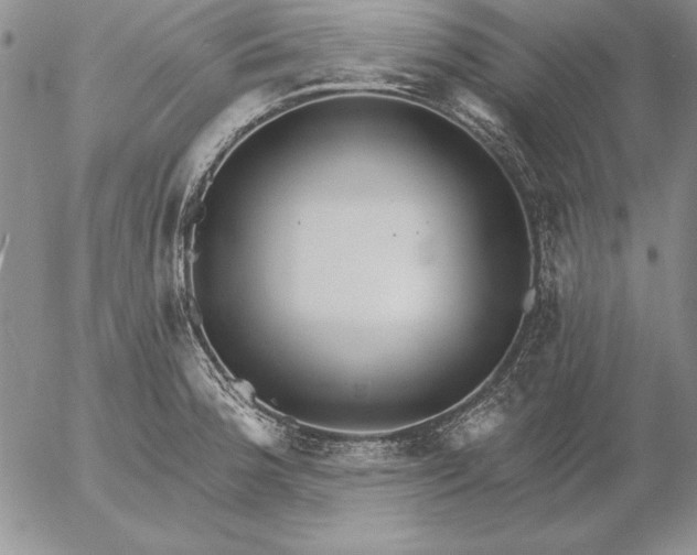 X0000053001188200507291634