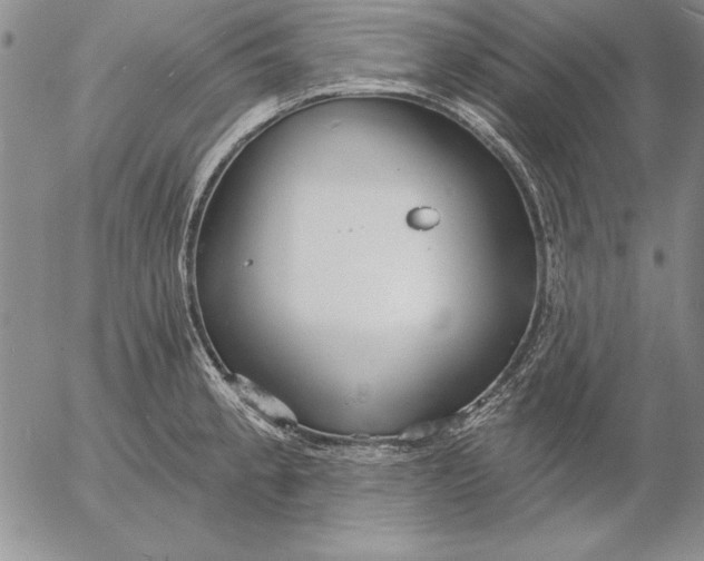 X0000053001189200507291634