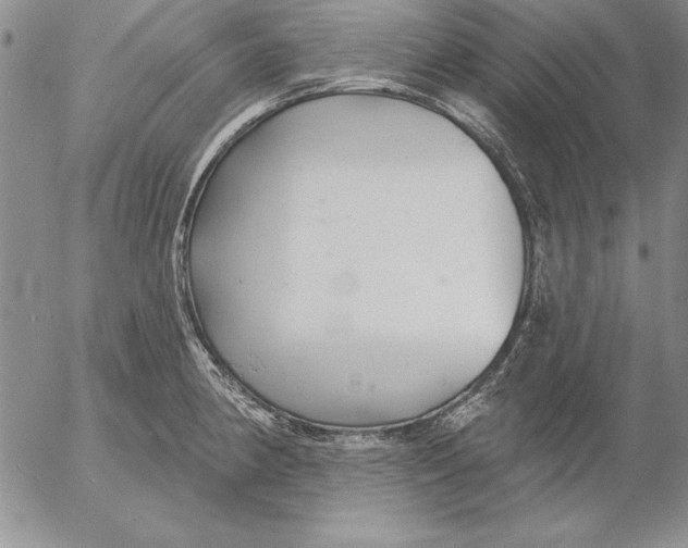 X0000053001190200507291634