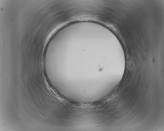 X0000053001191200507291634