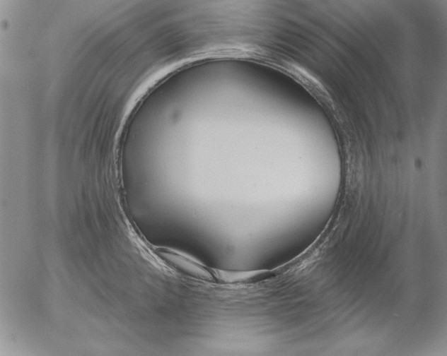 X0000053001192200507291634