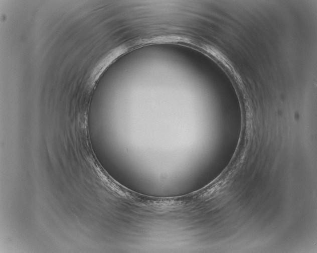 X0000053001193200507291634