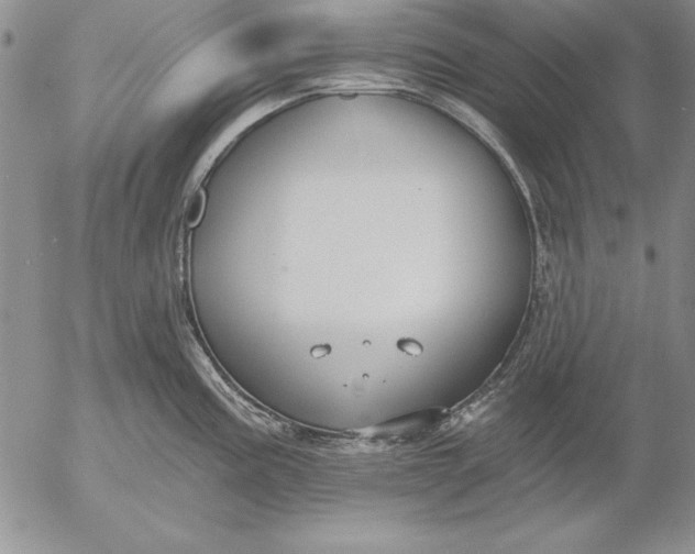 X0000053001195200507291634