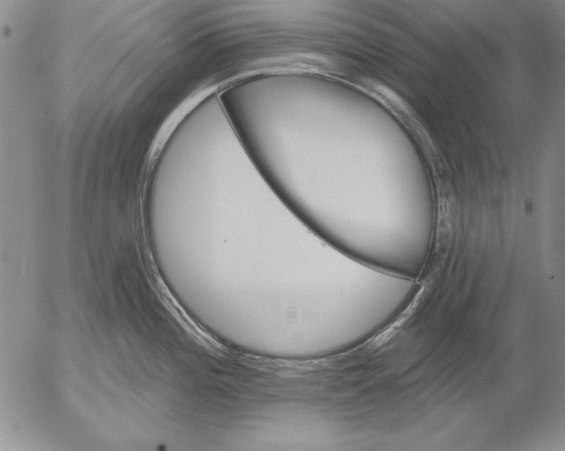 X0000053001196200507291634