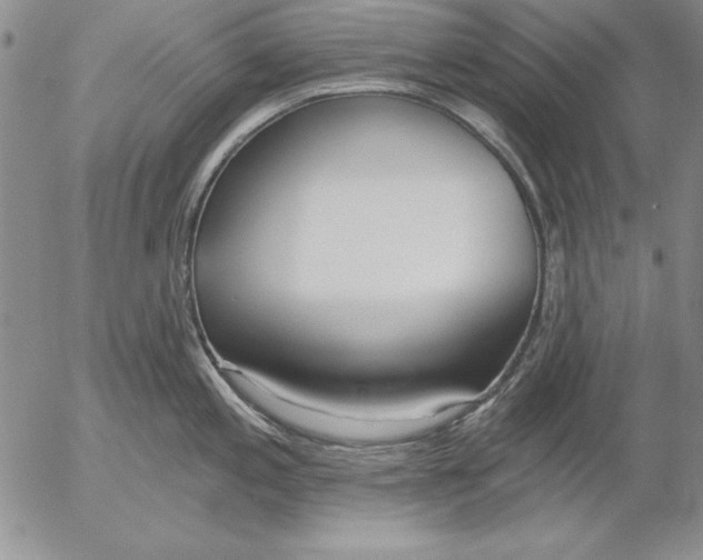 X0000053001197200507291634