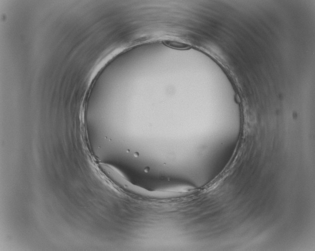 X0000053001198200507291634