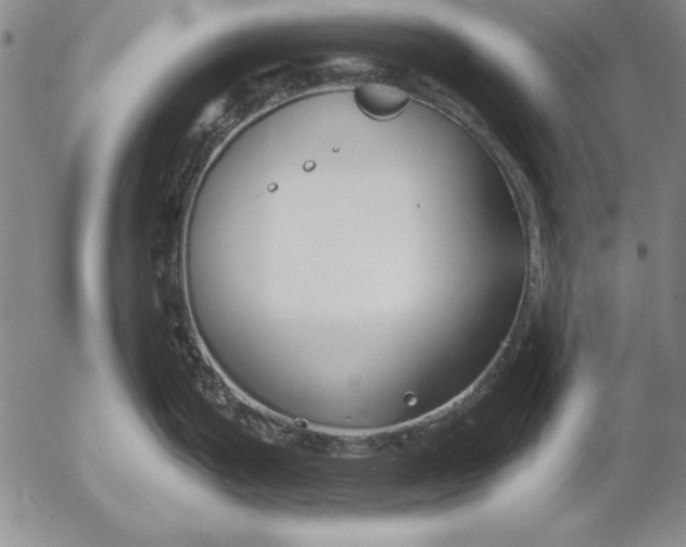 X0000053001199200507291634