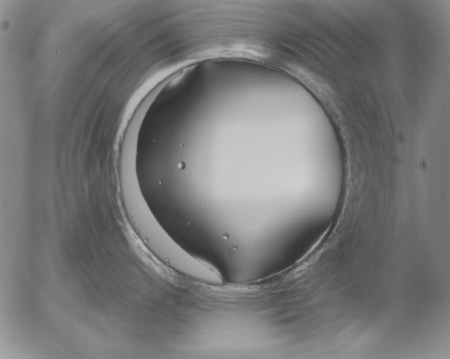 X0000053001200200507291634