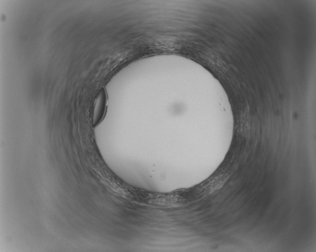 X0000053001201200507291633