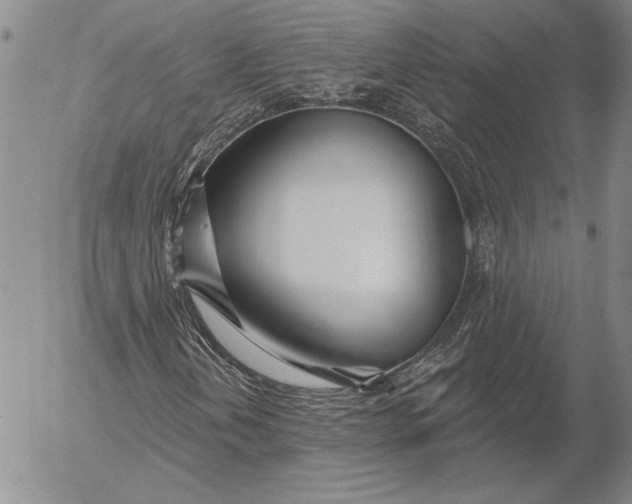 X0000053001202200507291633