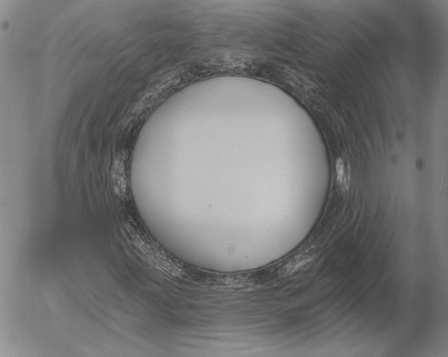 X0000053001203200507291633