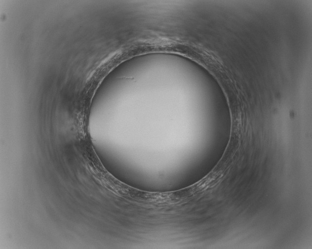 X0000053001205200507291633