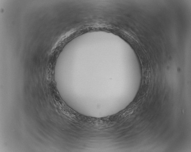 X0000053001207200507291633