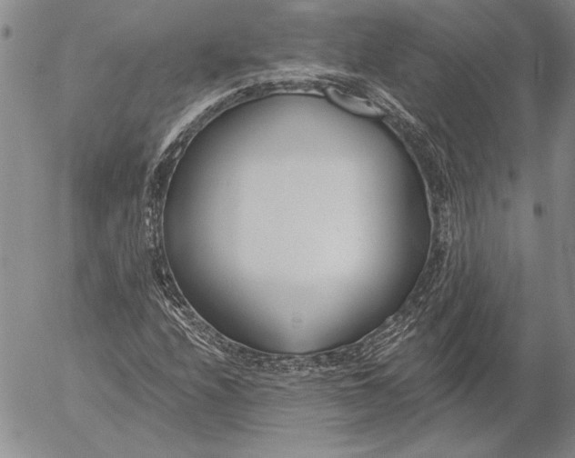 X0000053001208200507291633