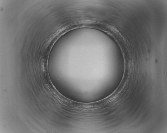 X0000053001209200507291633