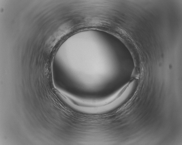 X0000053001210200507291634