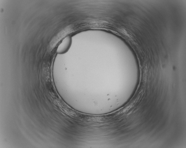 X0000053001211200507291634