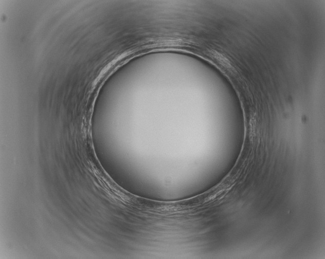 X0000053001212200507291634