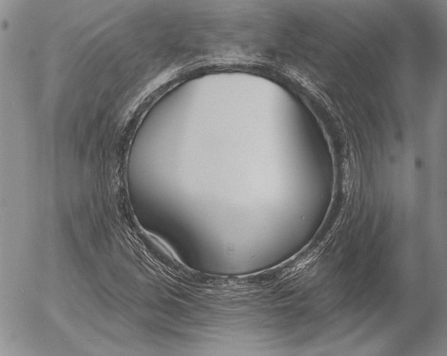 X0000053001213200507291634