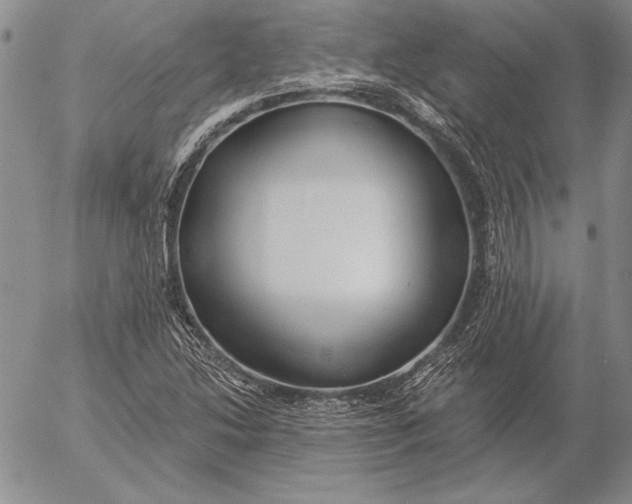 X0000053001214200507291634