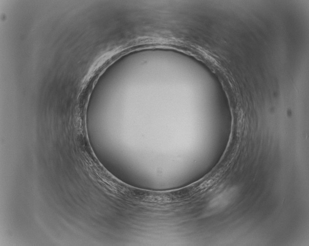 X0000053001215200507291634