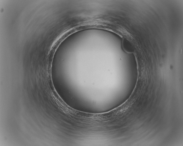 X0000053001216200507291634