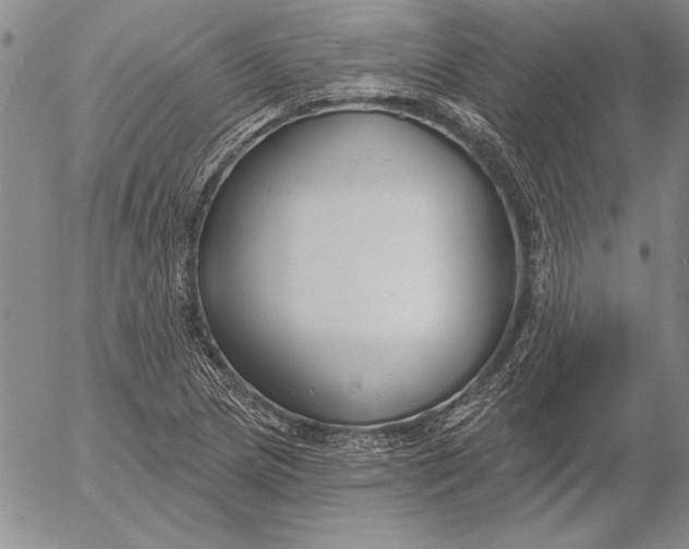 X0000053001217200507291634