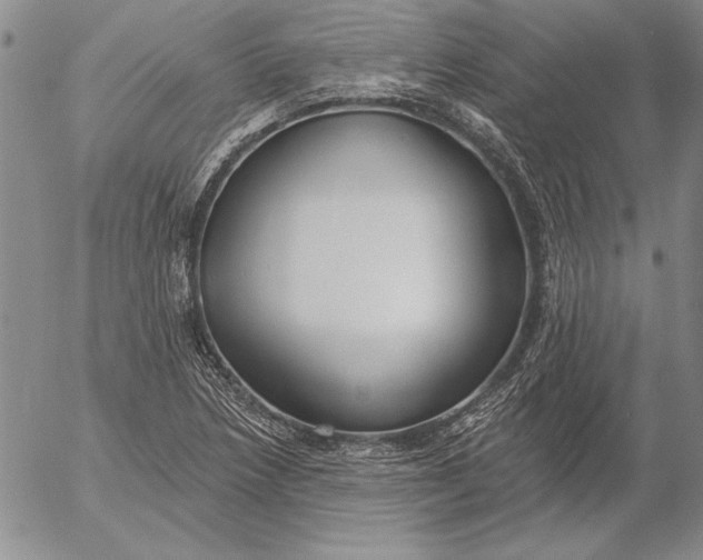 X0000053001218200507291634