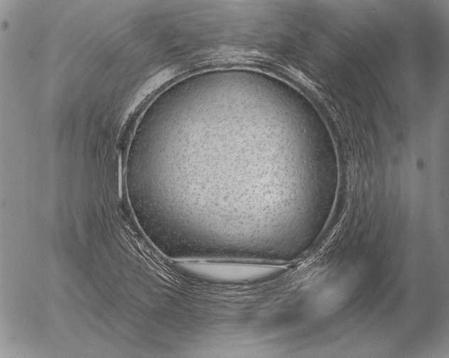 X0000053001219200507291634