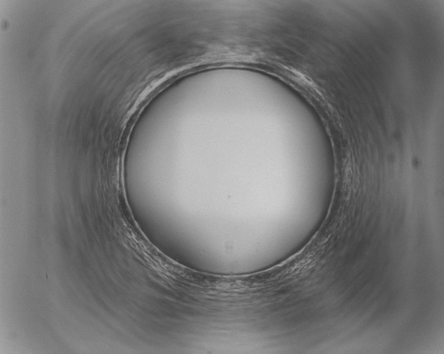 X0000053001220200507291634