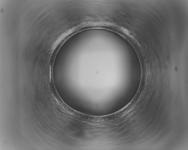 X0000053001221200507291634